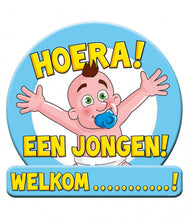 Afbeelding in Gallery-weergave laden, Verkeersbord Huldeschild