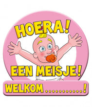 Afbeelding in Gallery-weergave laden, Verkeersbord Huldeschild