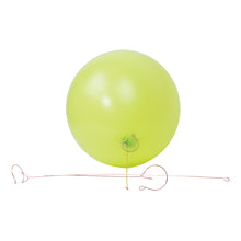 Afbeelding in Gallery-weergave laden, Balloon Vine &amp; Easy Hanger
