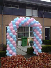 Afbeelding in Gallery-weergave laden, Ballonnenboog
